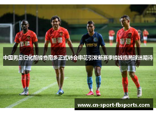 中国男足归化前锋费南多正式转会申花引发新赛季锋线格局球迷期待